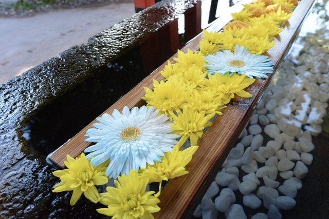 今日も嬉しい♡