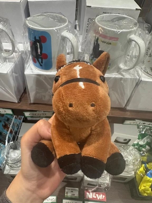 夢の国🫧