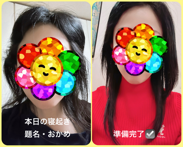 ドムドムの記憶🐘✨