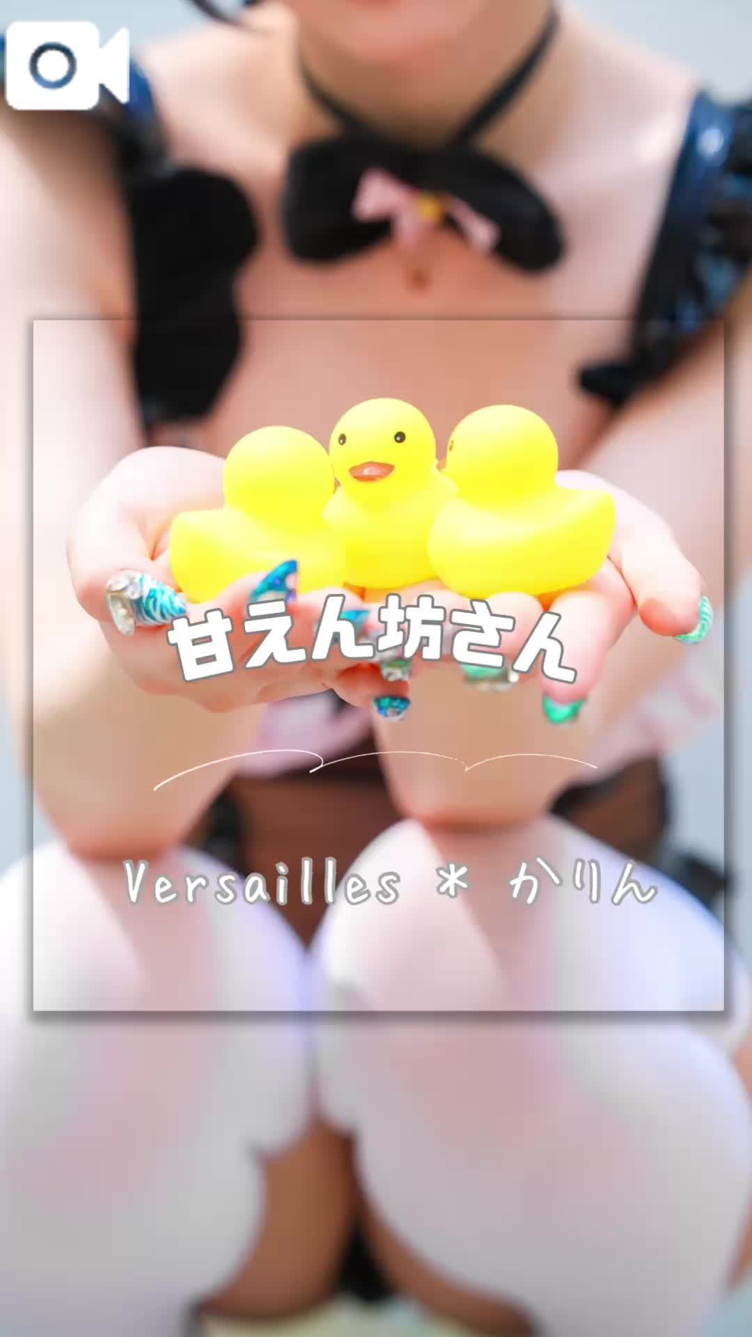 🩷ねこは世界を救う🩷