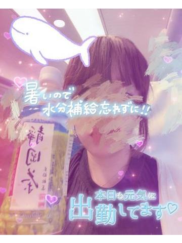 静岡????(?????????)