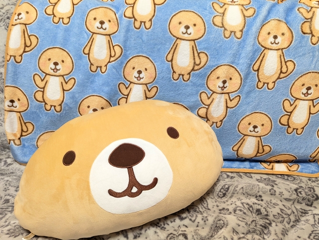 キャス来てくれてありがとう