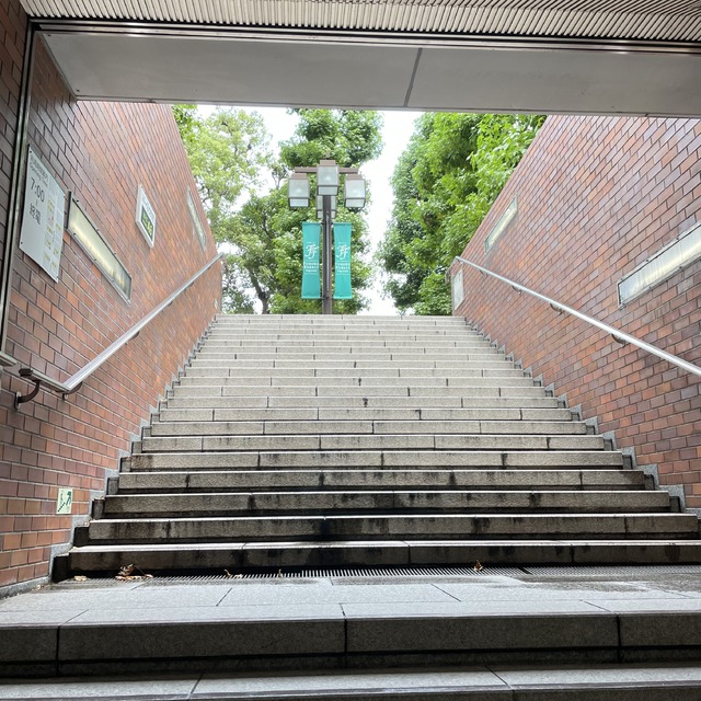 こんな日もあるけど悪いことばかりじゃないよ