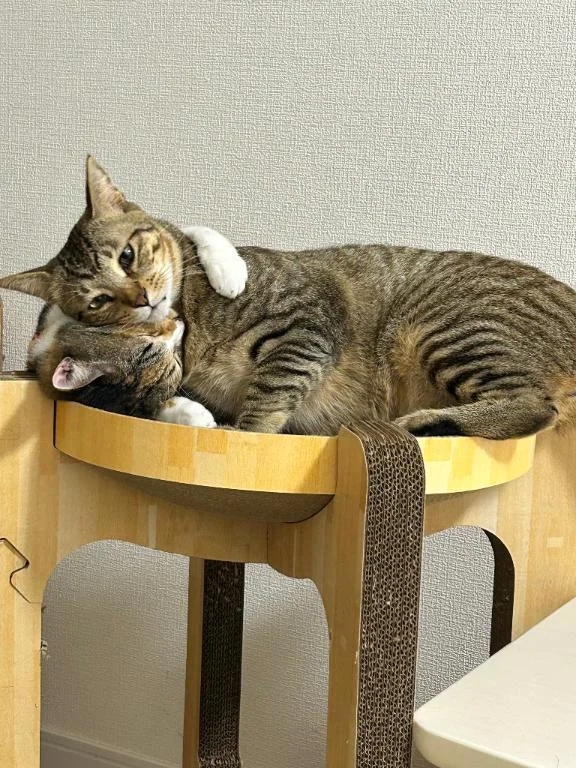 ぎゅー♡