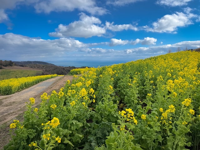 🟢春を待ちわびて🟢