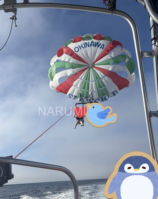 🌸I can fly!!!!!🌸