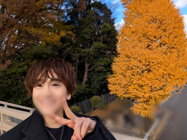 バックは銀杏