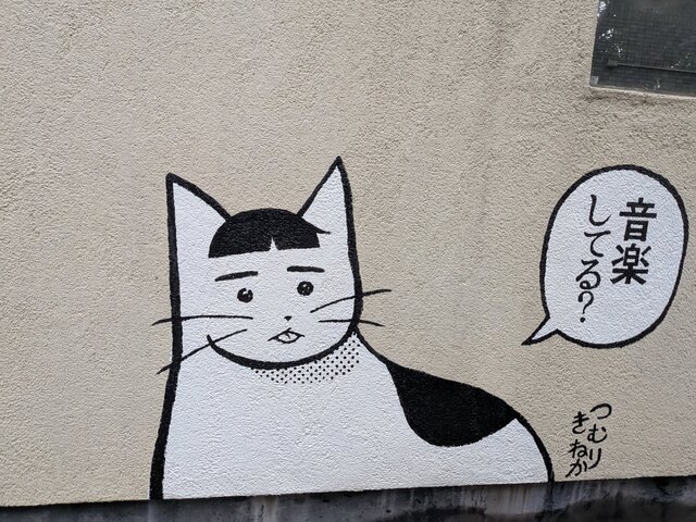 ねこ？