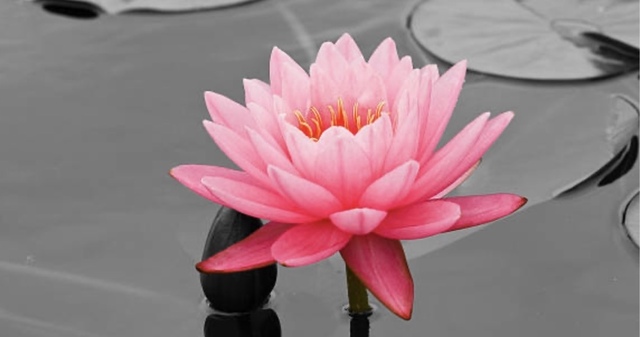 おはようございます☀️