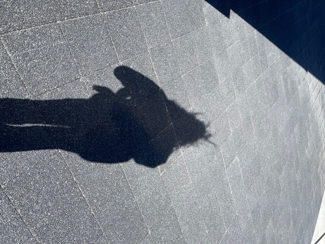 寒くなってきた🥶