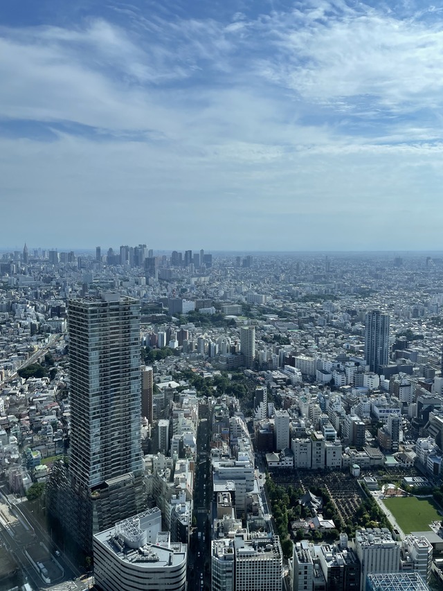 高いところに登りたくなる