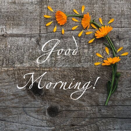 おはようございます☀️