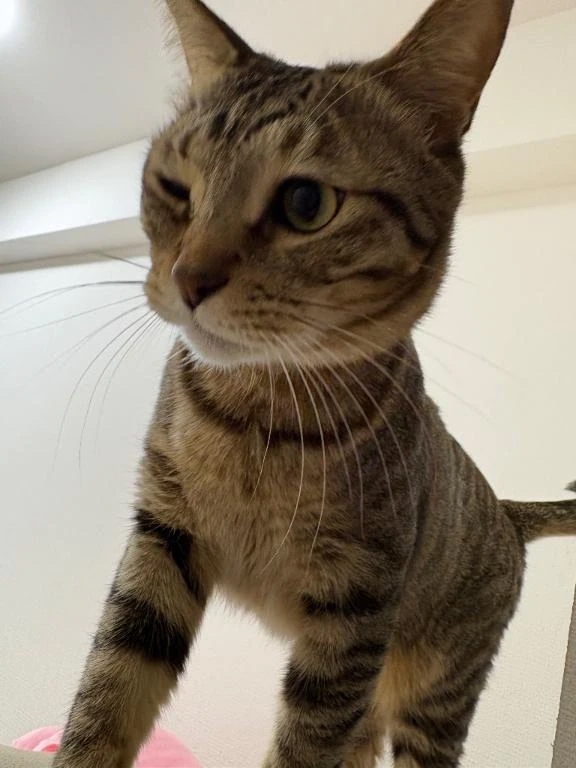 ウインク♡