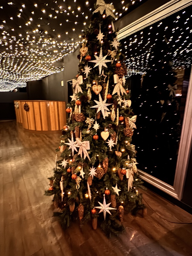 🌼久しぶり🌼