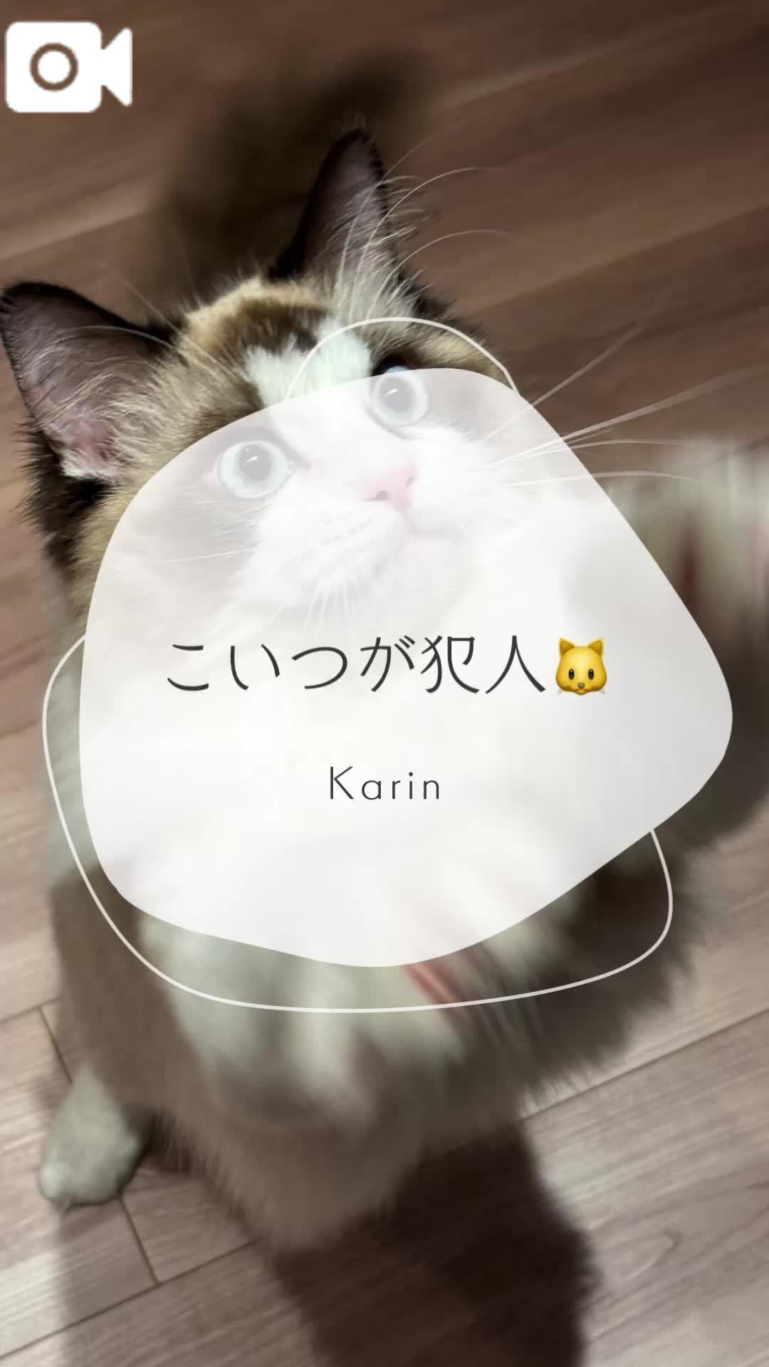 🩵朝起きて大絶叫🩵