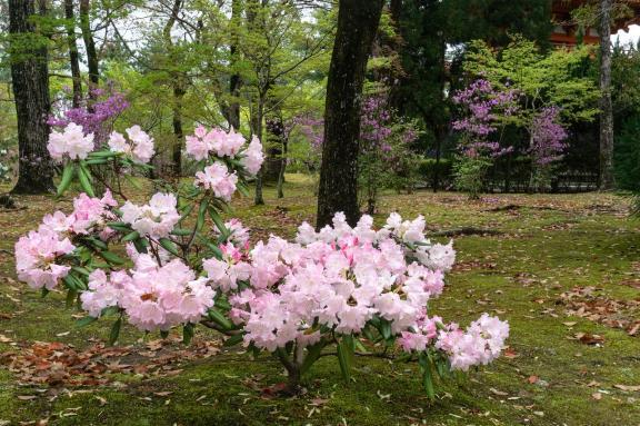 土曜日出勤✨️(レア)