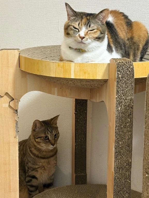 おやつの顔♡