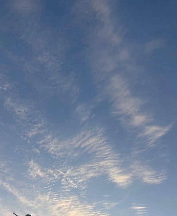 🌸今日は💞🌸