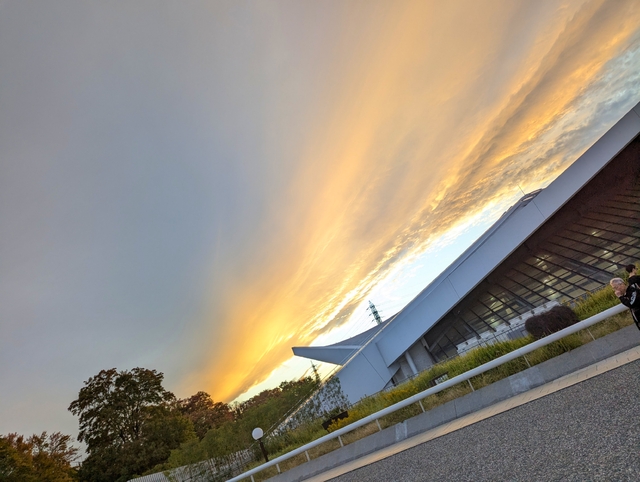 黄金色の夕焼け