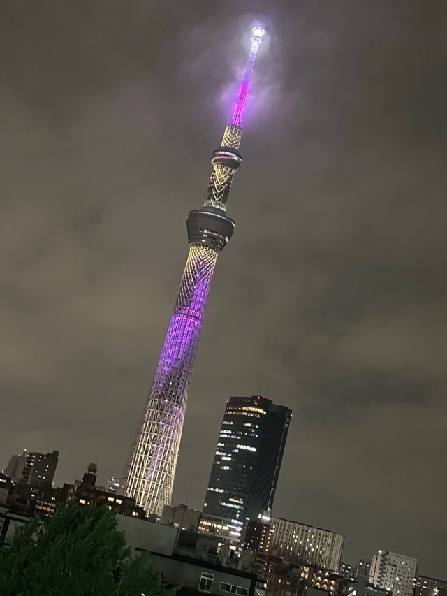 ~真夏の夜の夢~