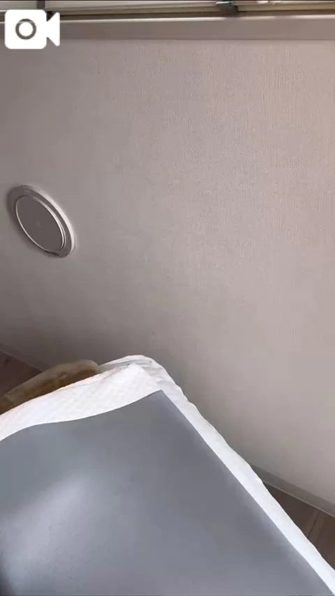 穴があったら入りたい