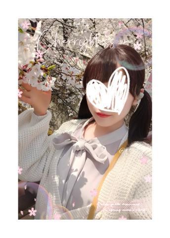 もうすぐ桜の季節が…?