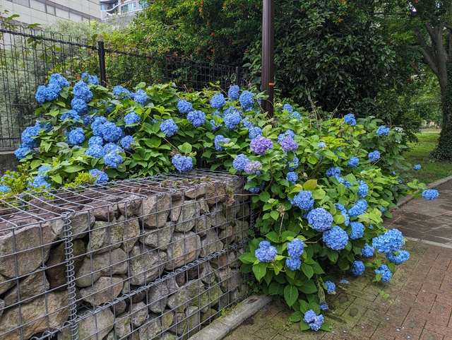 【ちょいポエム】目の前の変化を大事に！