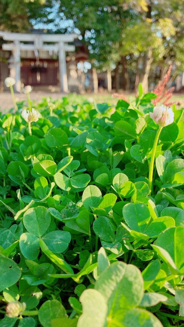 🌟最強開運日！みんなにハッピーを🍀🌞