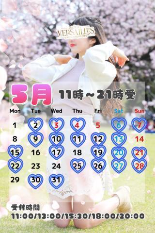 ?5月schedule?