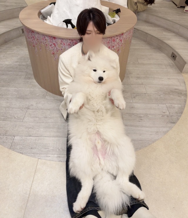似てる？？