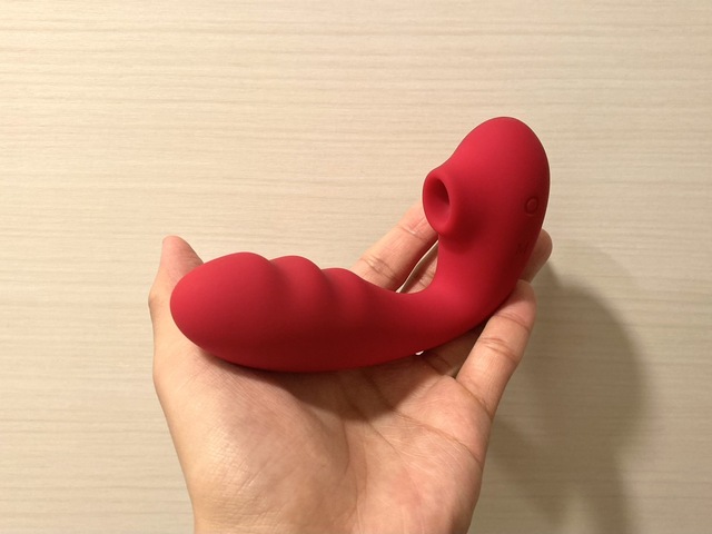 新たな相棒 - その1