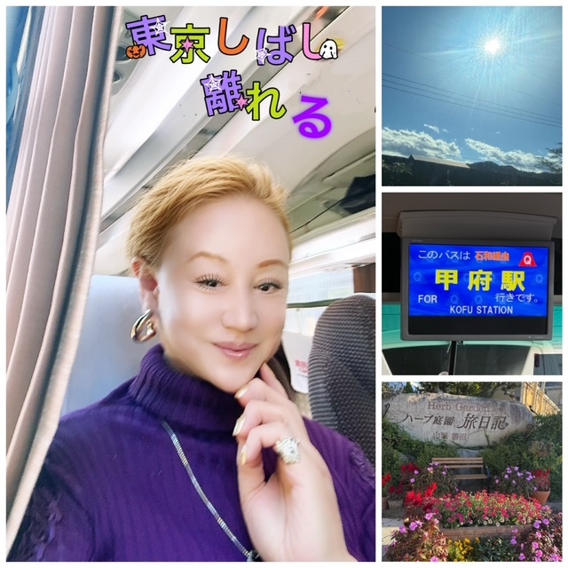 スケジュール