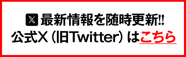 公式X