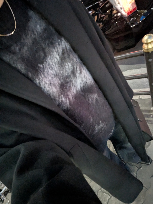 孤独という名の贅沢