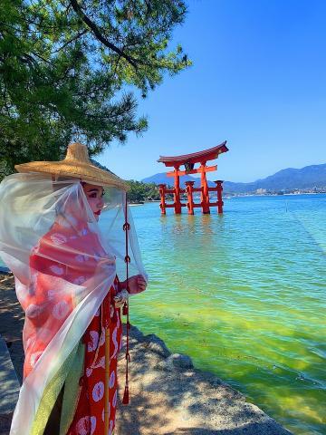 本日は完売、明日の次回案内?