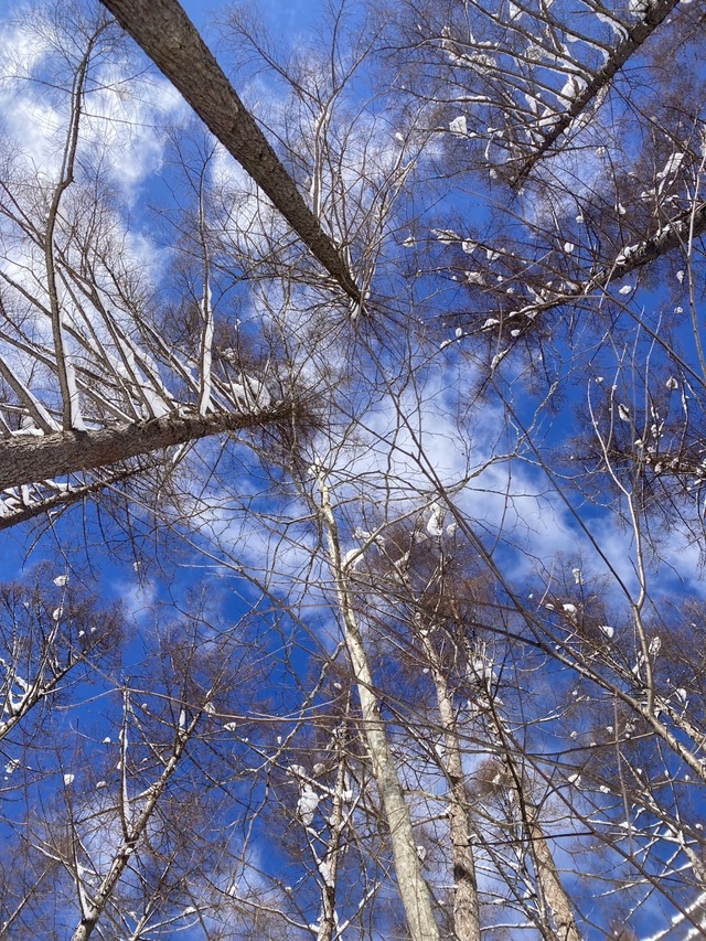 ありがとう❄️