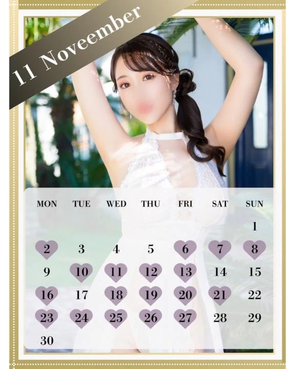 【11月の予定を決めました🌸】