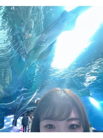 ここどぉーこだっ♪♪