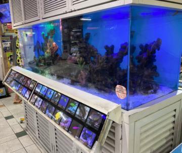 8月スケジュール(仮)