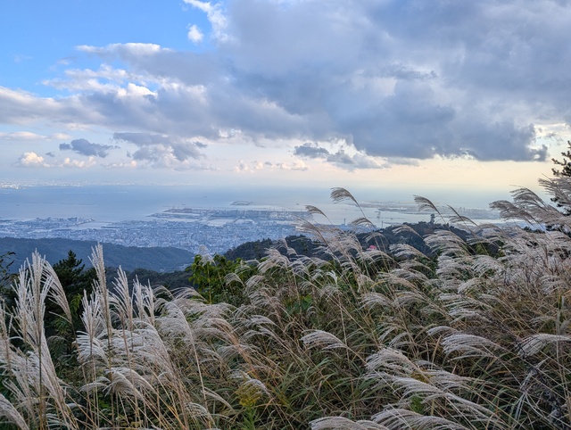 ♦️もし総理大臣になったら♦️