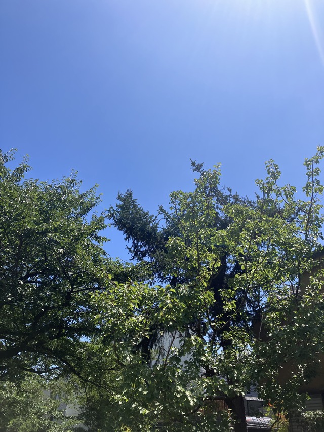 眩しい青空☀️