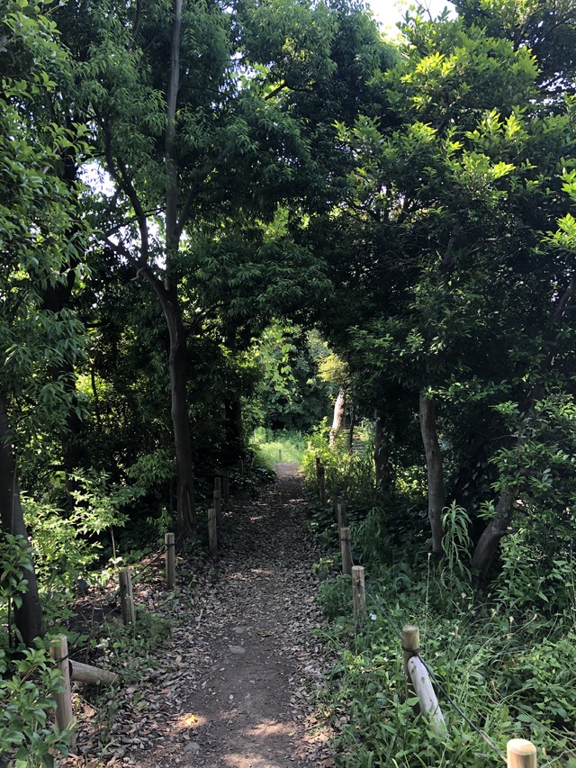 朝活🍃