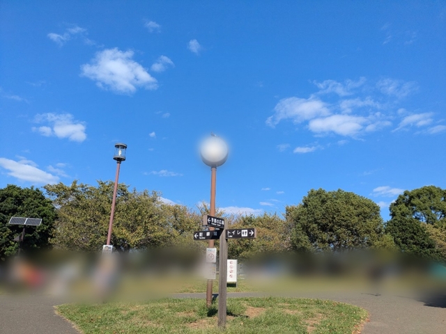晴れの三連休☀️