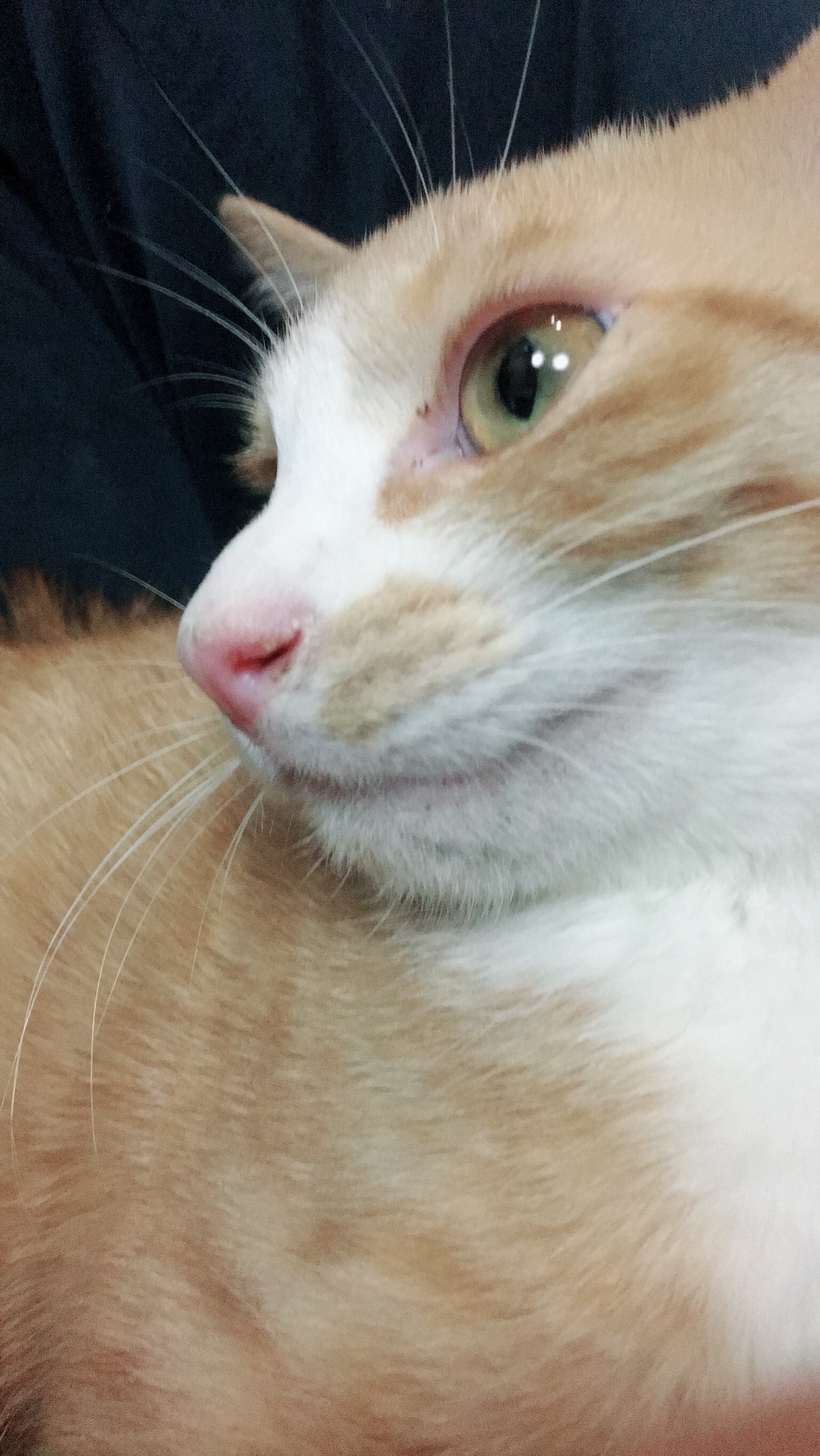 家賃ってめっちゃ大事だと痛感