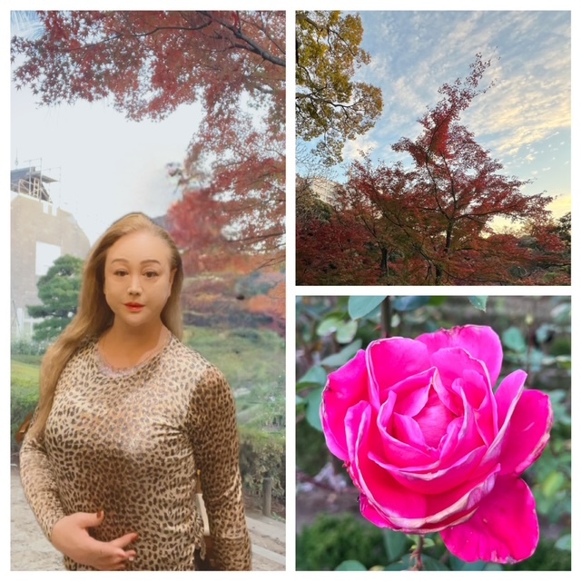 [ ♢♢美しい庭園♢♢昨日は天候に恵まれ．．