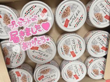 誕生日プレゼント届きました?