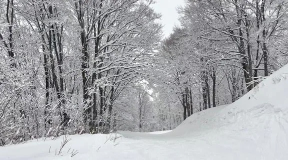スノボでアザが😵‍💫💦