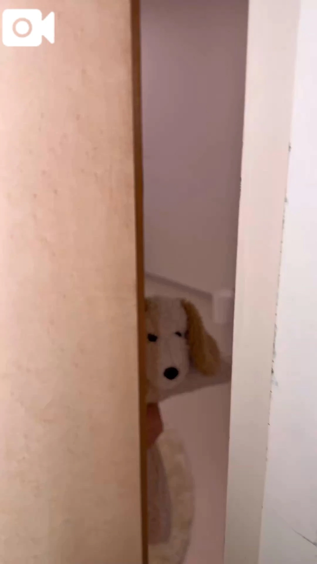 友達のいないうちに