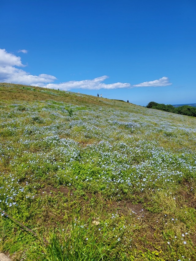 5月もあっという間