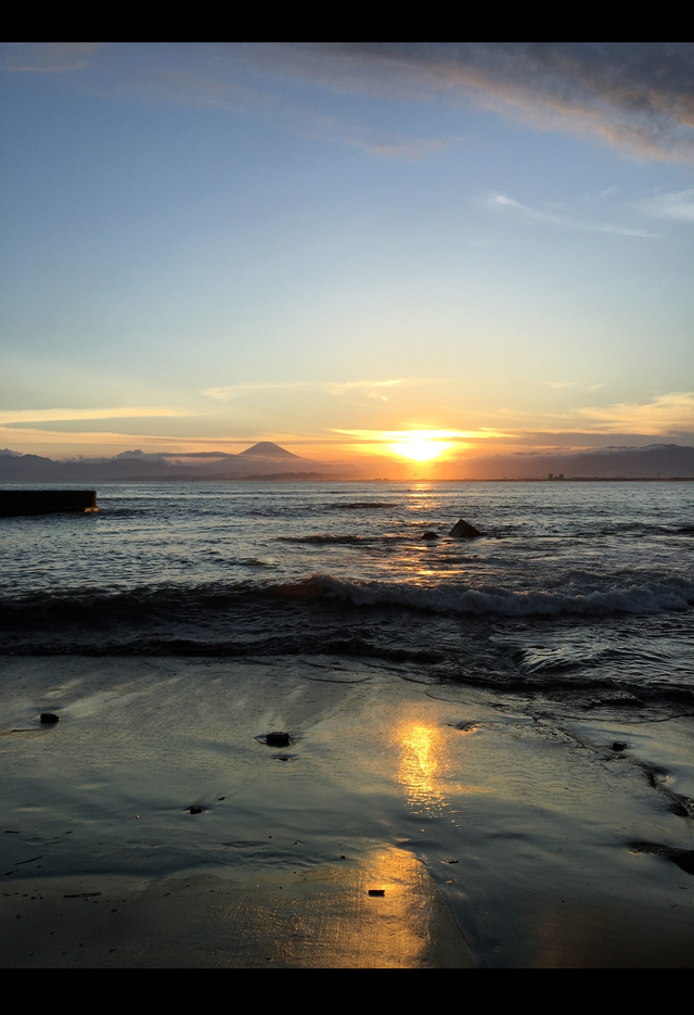 秋のお得情報🉐